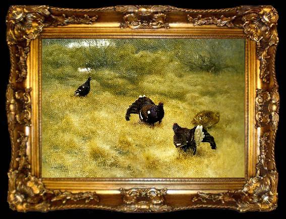 framed  bruno liljefors orrspel i mossen, ta009-2